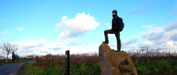 Urlaub beim Winzer - Weinbergsblick